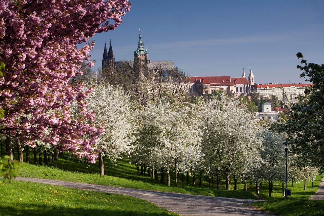Hradschin-im-Frühling-c-Prague-City-Tourism