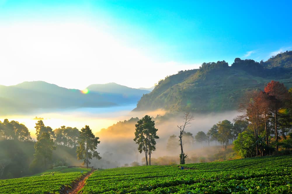 Chiang Mai Highlands, Streetfood & buddhistische Tempel