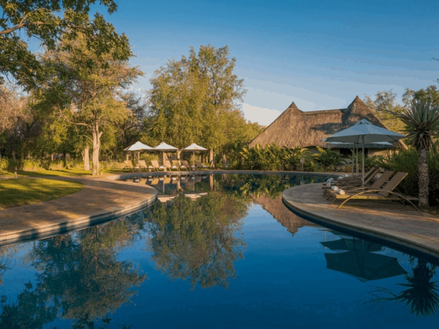 Mokuti Etosha Lodge-5