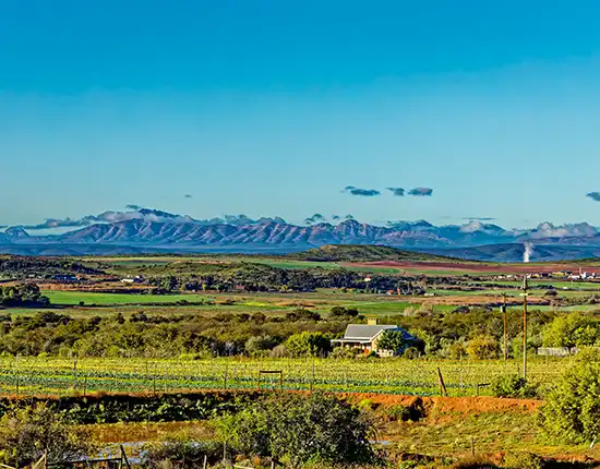 Oudtshoorn_Westkap_Südafrika