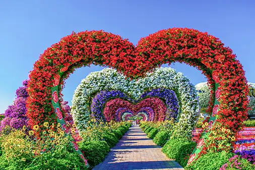 Dubai Miracle Garden