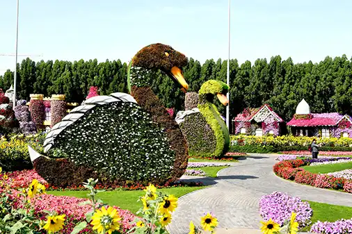 Dubai Miracle Garden